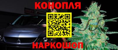 дурь Заводоуковск