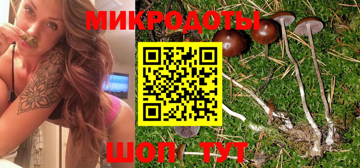 Псилоцибиновые грибы MAGIC MUSHROOMS  Вход с VPN  где можно купить наркотик  Мичуринск 