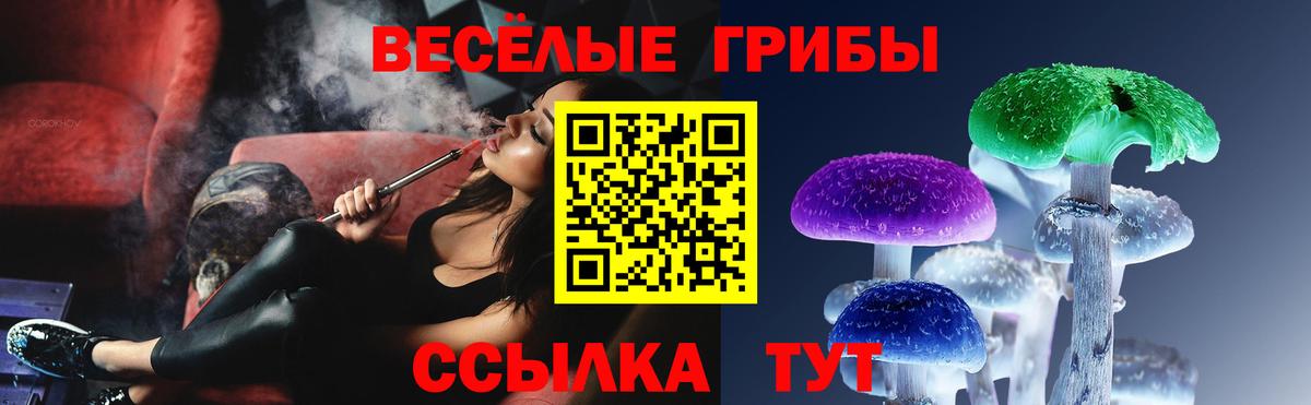Галлюциногенные грибы мухоморы Мичуринск